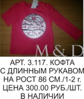 Арт.3.117